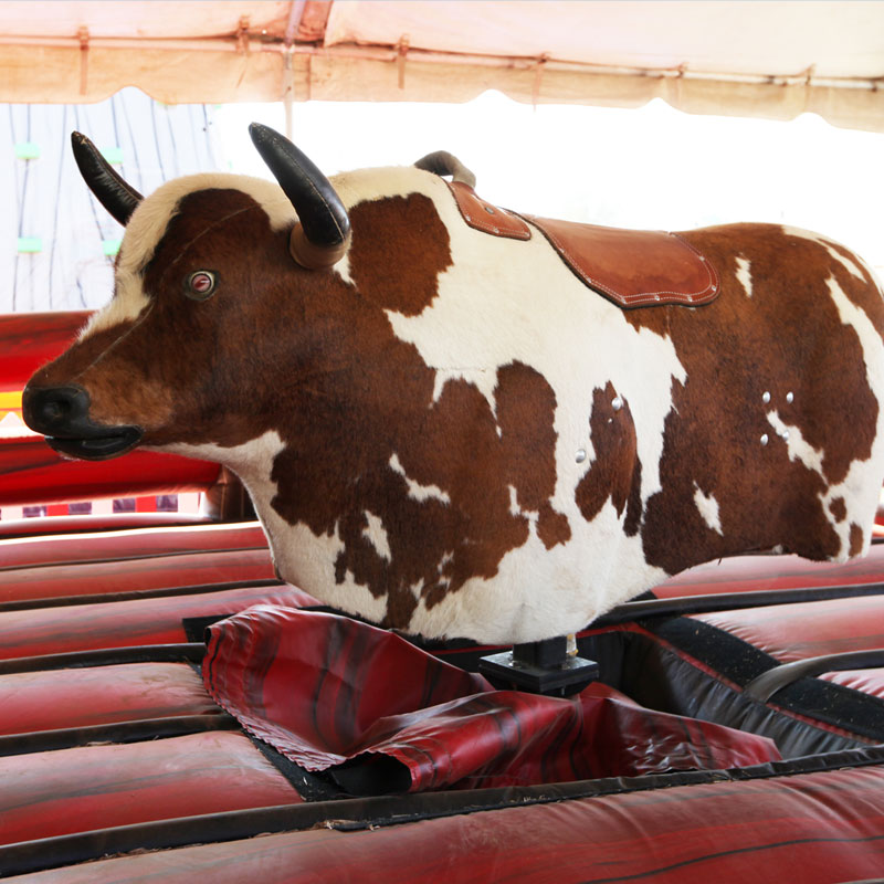 Inflatable Bull Riding