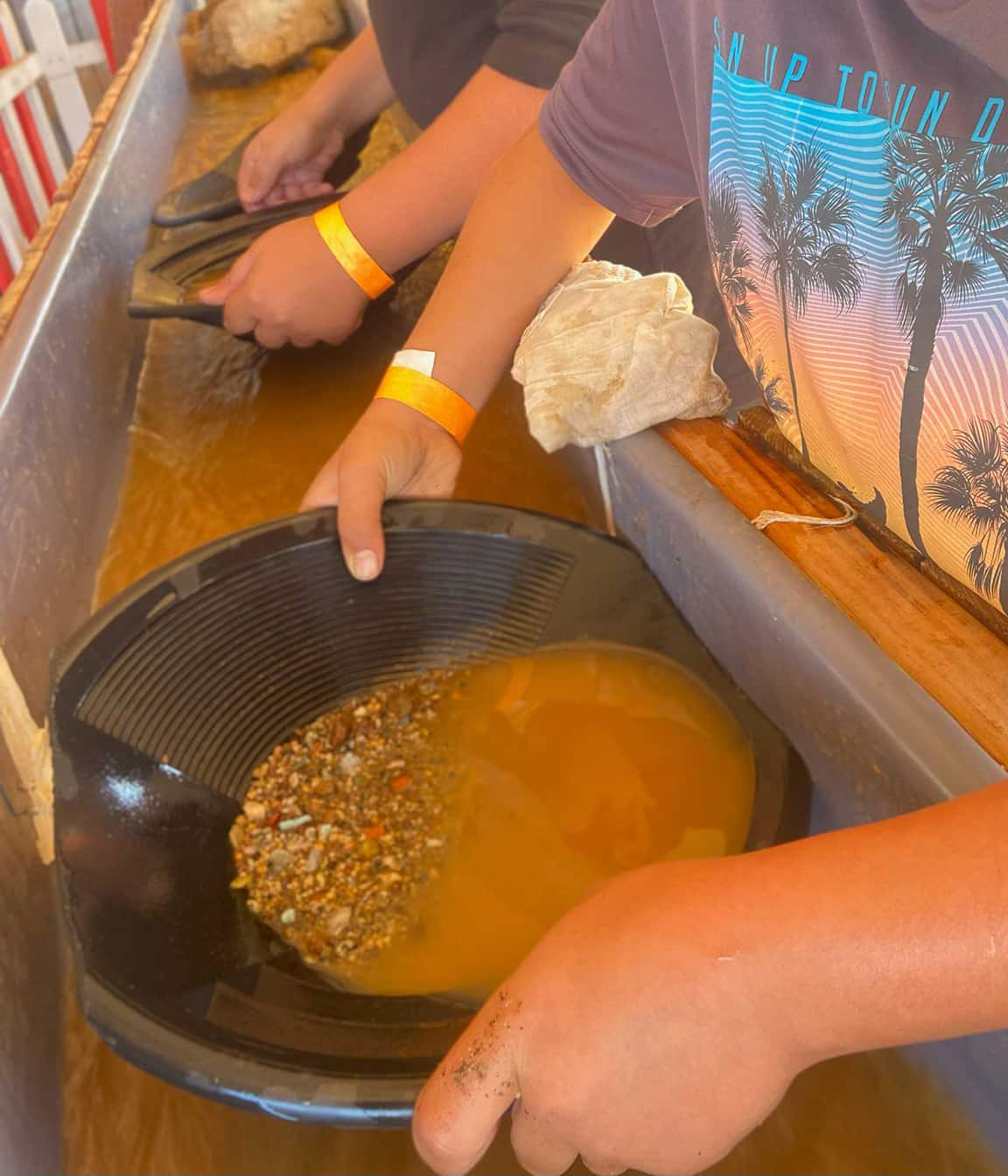 Panning For Gold