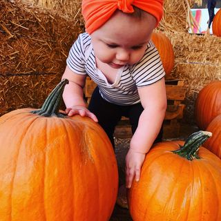 Pumpkin patch